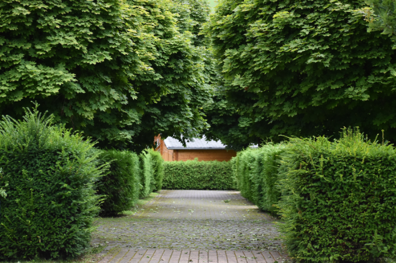 Hecke und Fußgängerweg Hecke und Fußgängerweg